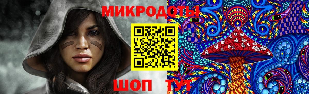 закладки  Вход с VPN  Жуковский  Псилоцибиновые грибы прущие грибы 